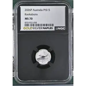 2026P Kookaburra (2)