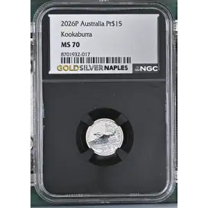 2026P Kookaburra (2)