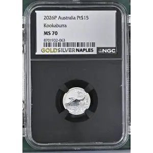 2026P Kookaburra (2)