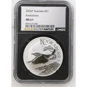2026P Kookaburra (2)