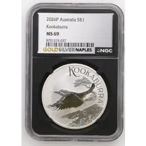 2026P Kookaburra (2)