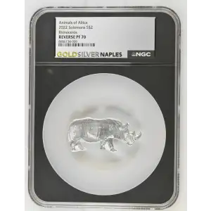 2022 Rhinoceros Animals of Africa (2)