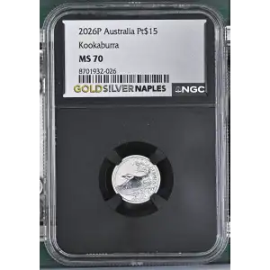 2026P Kookaburra (2)