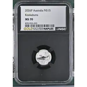 2026P Kookaburra (2)