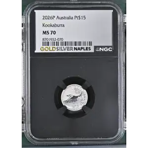 2026P Kookaburra (2)