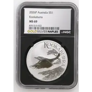 2026P Kookaburra (2)