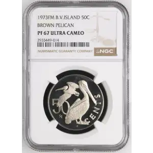 1973FM BROWN PELICAN ULTRA CAMEO (2)