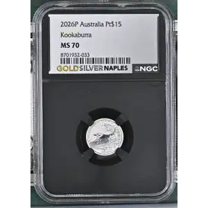 2026P Kookaburra (2)