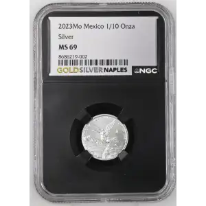 2023Mo Silver (2)