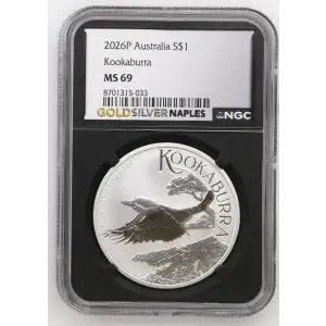2026P Kookaburra (2)