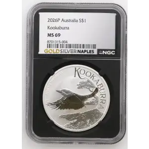 2026P Kookaburra (2)