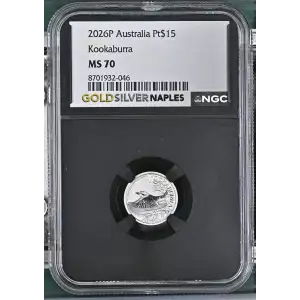 2026P Kookaburra (2)