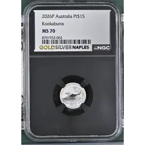 2026P Kookaburra (2)