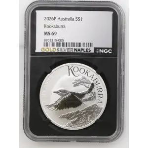 2026P Kookaburra (2)