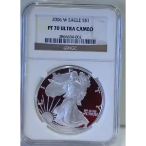 2006 W  ULTRA CAMEO