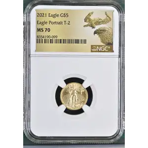 2021 Eagle Portrait T-2 (2)