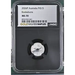 2026P Kookaburra (2)
