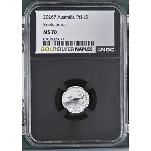 2026P Kookaburra (2)