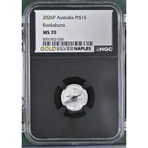 2026P Kookaburra (2)