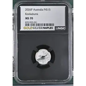2026P Kookaburra (2)