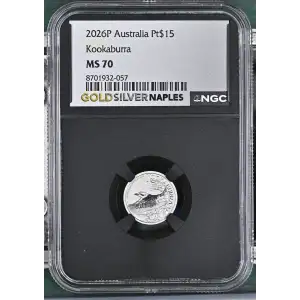 2026P Kookaburra (2)