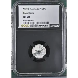 2026P Kookaburra (2)