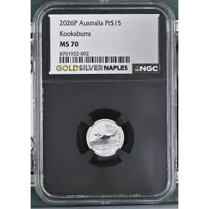 2026P Kookaburra (2)