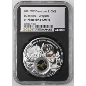 2021MW Cameroon St. Bernard - Lifeguard PF 70 UC