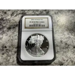 2005 W  ULTRA CAMEO