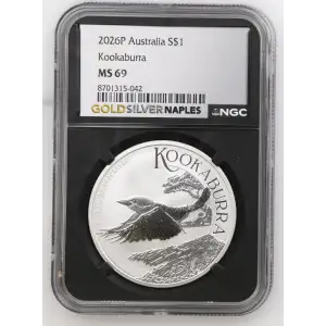 2026P Kookaburra (2)