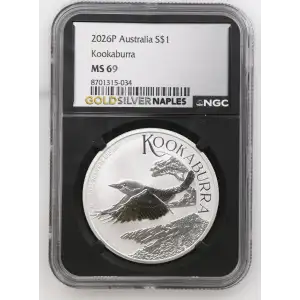 2026P Kookaburra (2)