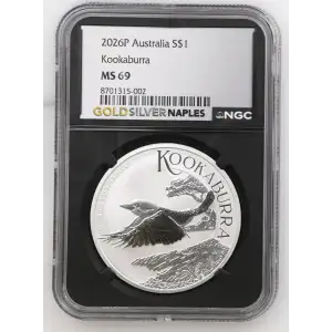 2026P Kookaburra (2)