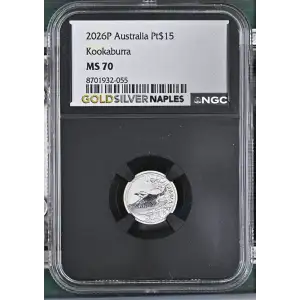 2026P Kookaburra (2)