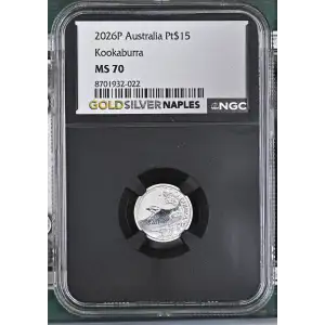 2026P Kookaburra (2)