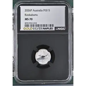 2026P Kookaburra (2)