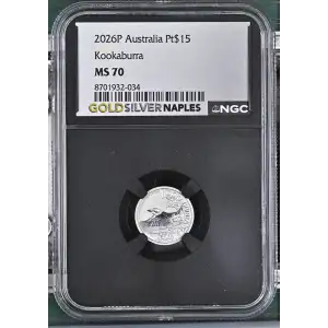 2026P Kookaburra (2)