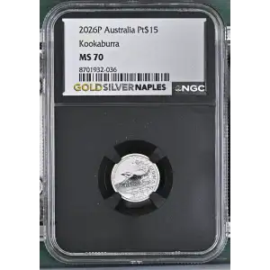 2026P Kookaburra (2)