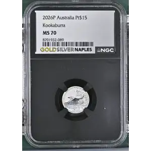 2026P Kookaburra (2)