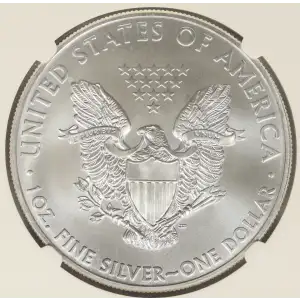 Silver Eagles
