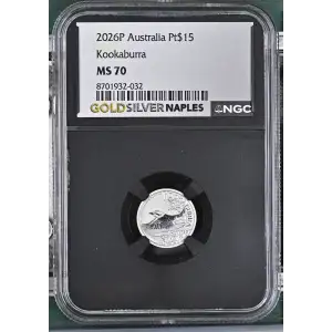 2026P Kookaburra (2)