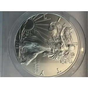 Silver Eagles