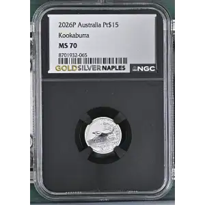 2026P Kookaburra (2)