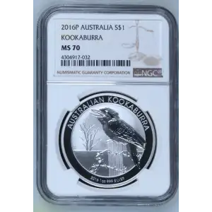 2016P Kookaburra (2)