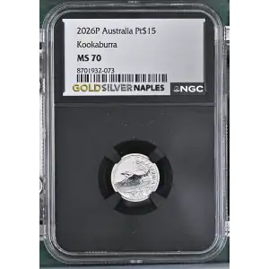 2026P Kookaburra (2)