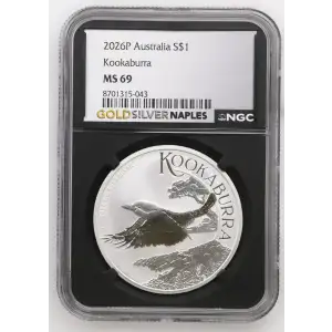 2026P Kookaburra (2)