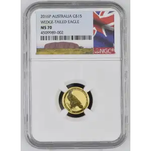 2016P Wedge-Tailed Eagle (2)