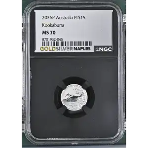 2026P Kookaburra (2)