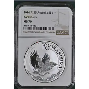 2024 P125 Kookaburra (2)