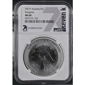 2021P Kangaroo (2)