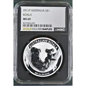 2011P Koala (2)
